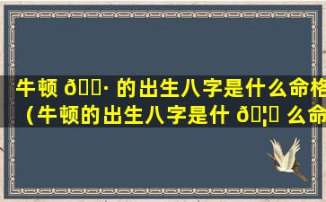 牛顿 🌷 的出生八字是什么命格（牛顿的出生八字是什 🦊 么命格的人）